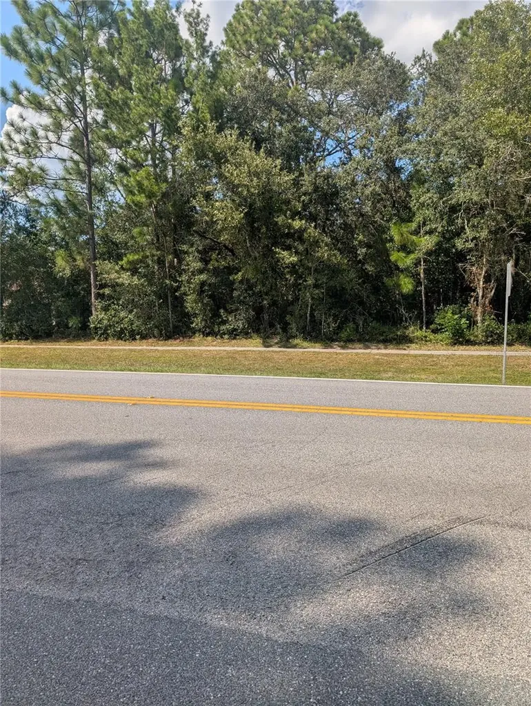 3515 W Century Boulevard Citrus Springs FL 34433