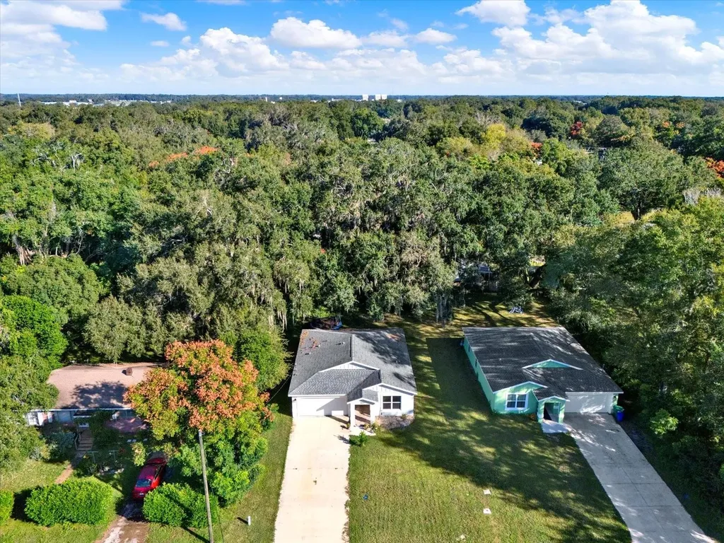 801 Osceola Avenue Wildwood FL 34785