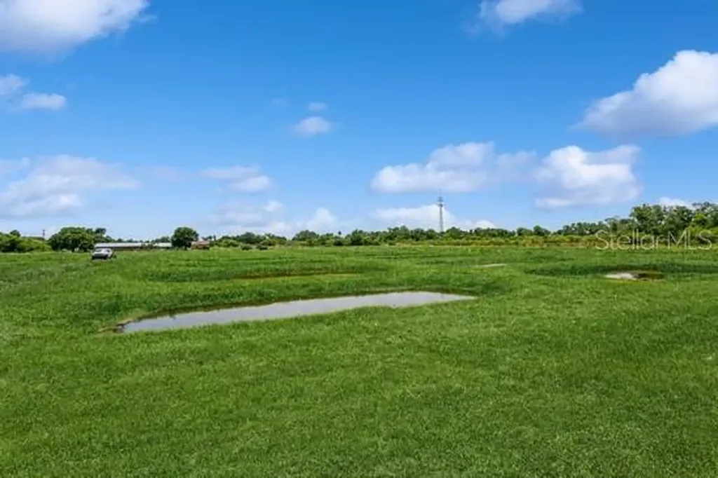 1108 Wynnmere Meadow Place Ruskin FL 33570