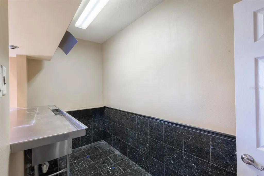 16224 Ivy Lake Drive Odessa FL 33556