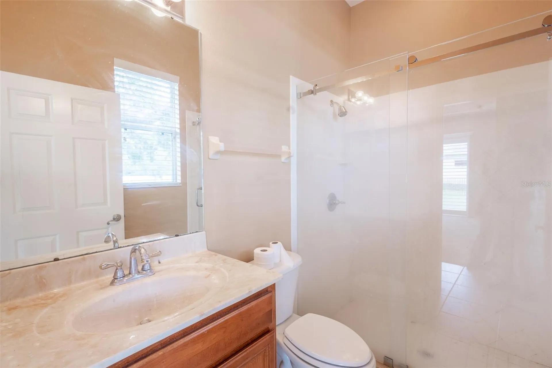16224 Ivy Lake Drive Odessa FL 33556