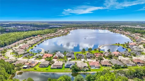 16224 Ivy Lake Drive Odessa FL 33556