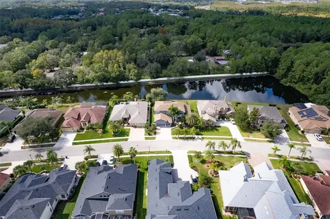 16224 Ivy Lake Drive Odessa FL 33556