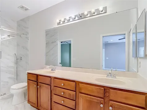 16224 Ivy Lake Drive Odessa FL 33556