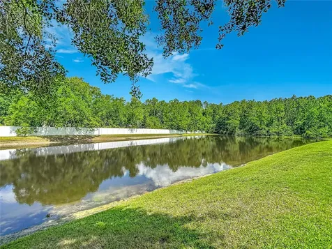 16224 Ivy Lake Drive Odessa FL 33556