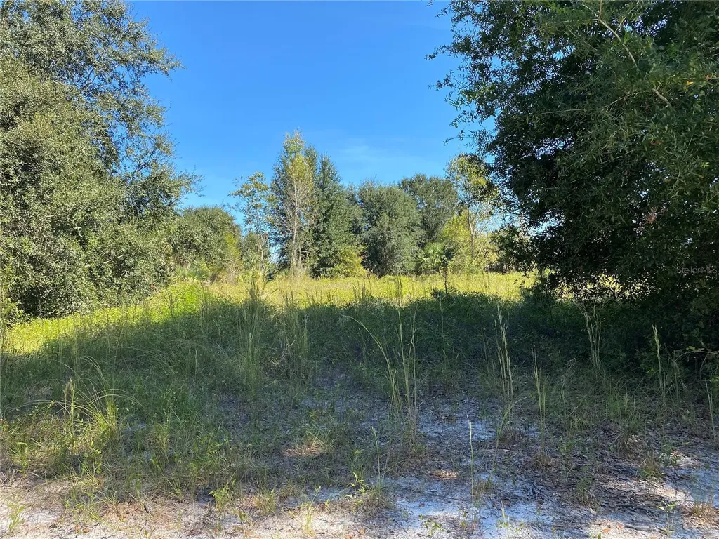 Xxxx NE 3rd Court Citra FL 32113