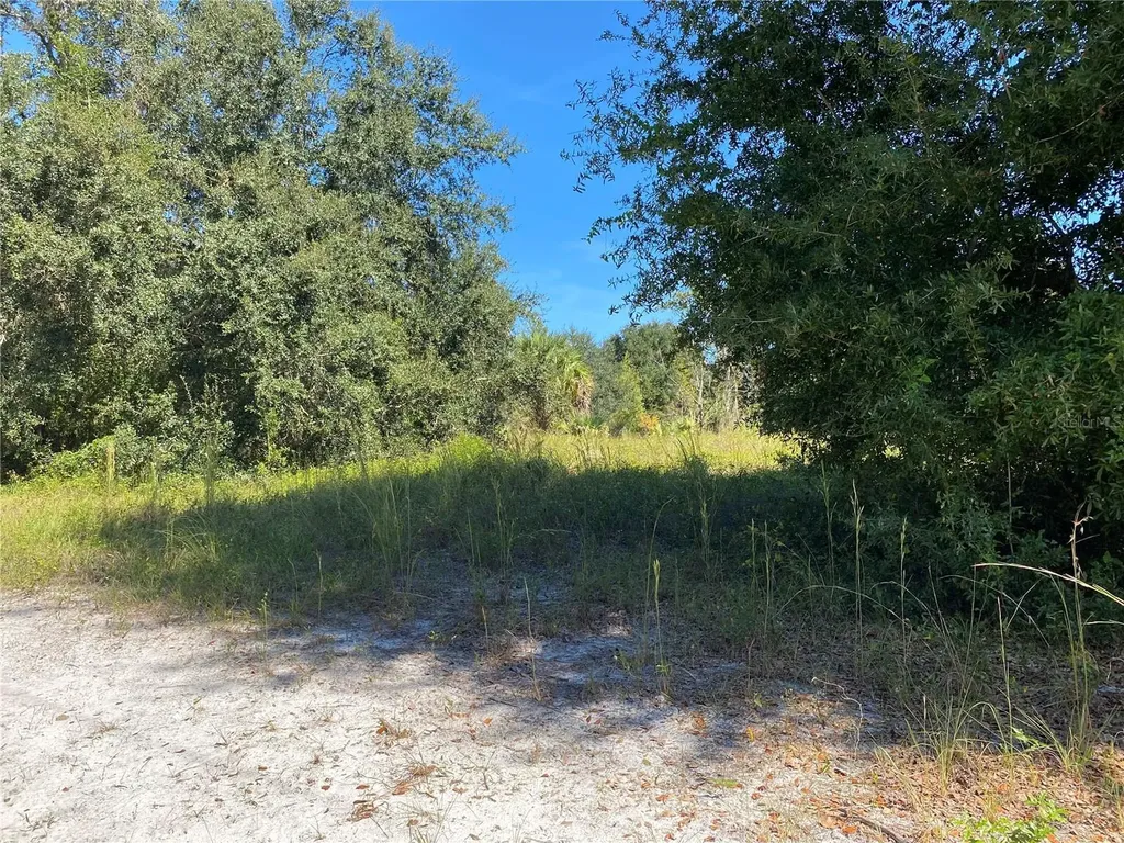 Xxxx NE 3rd Court Citra FL 32113