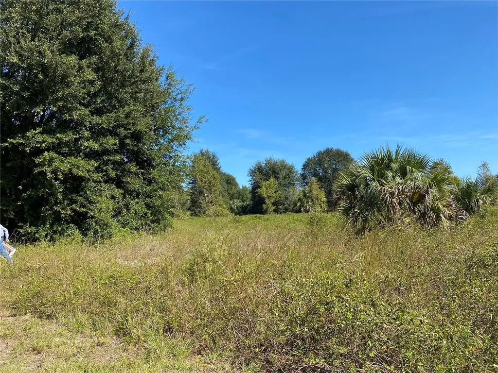 Xxxx NE 3rd Court Citra FL 32113