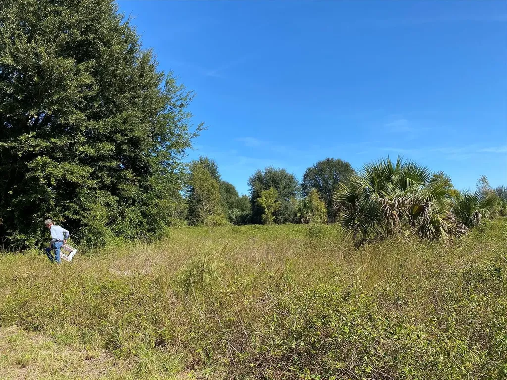 Xxxx NE 3rd Court Citra FL 32113