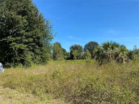 Xxxx NE 3rd Court Citra FL 32113
