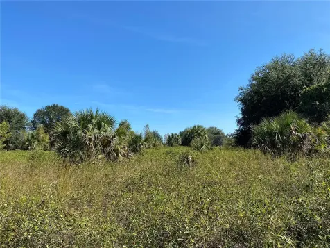 Xxxx NE 3rd Court Citra FL 32113