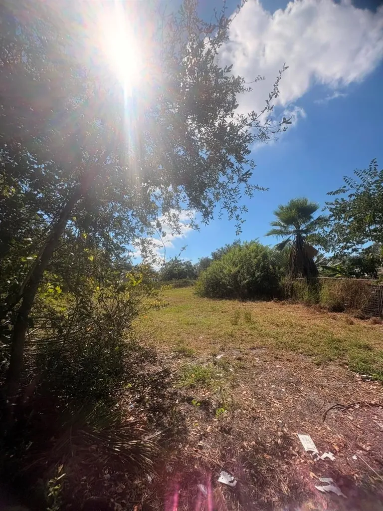 2603 Goldwyn Drive Ruskin FL 33570