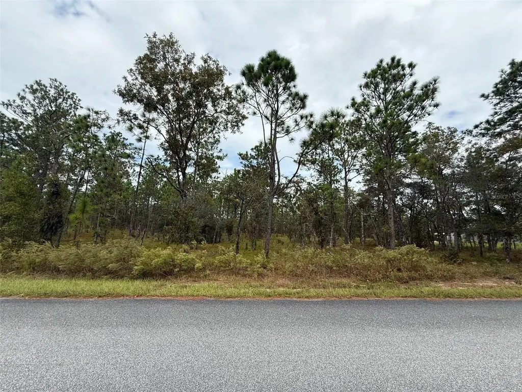 NW Amberjack Avenue Dunnellon FL 34431