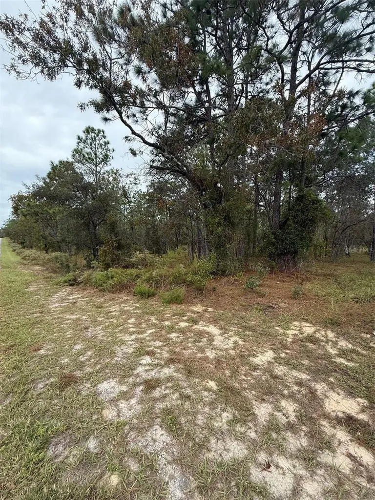 NW Amberjack Avenue Dunnellon FL 34431