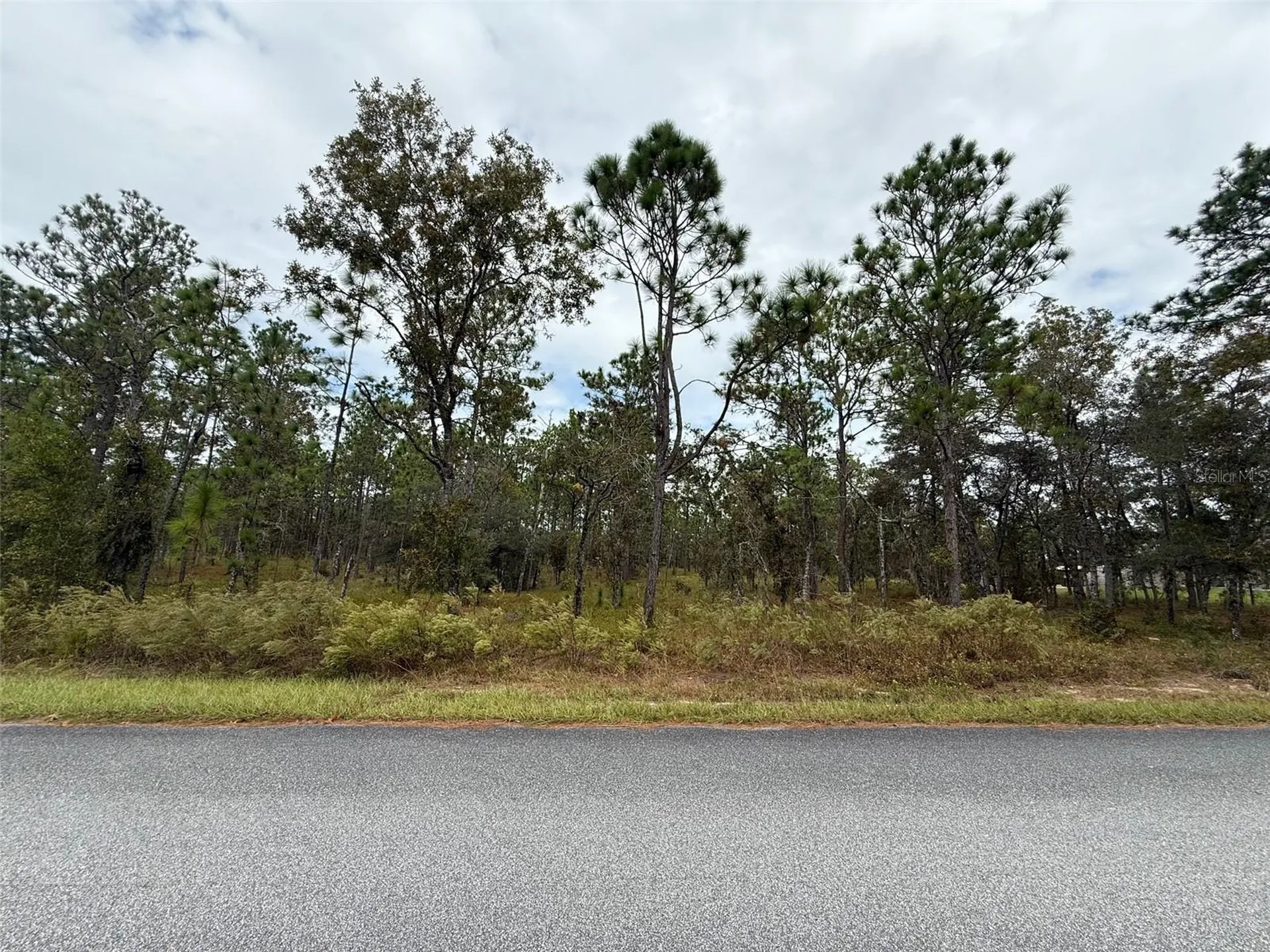 NW Amberjack Avenue Dunnellon FL 34431