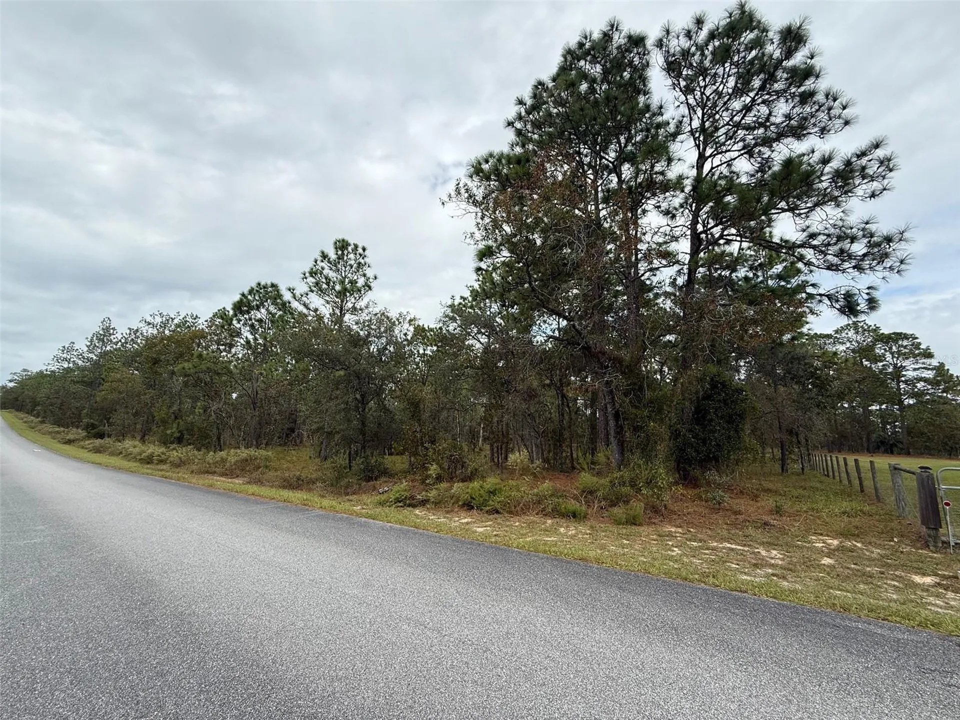 NW Amberjack Avenue Dunnellon FL 34431