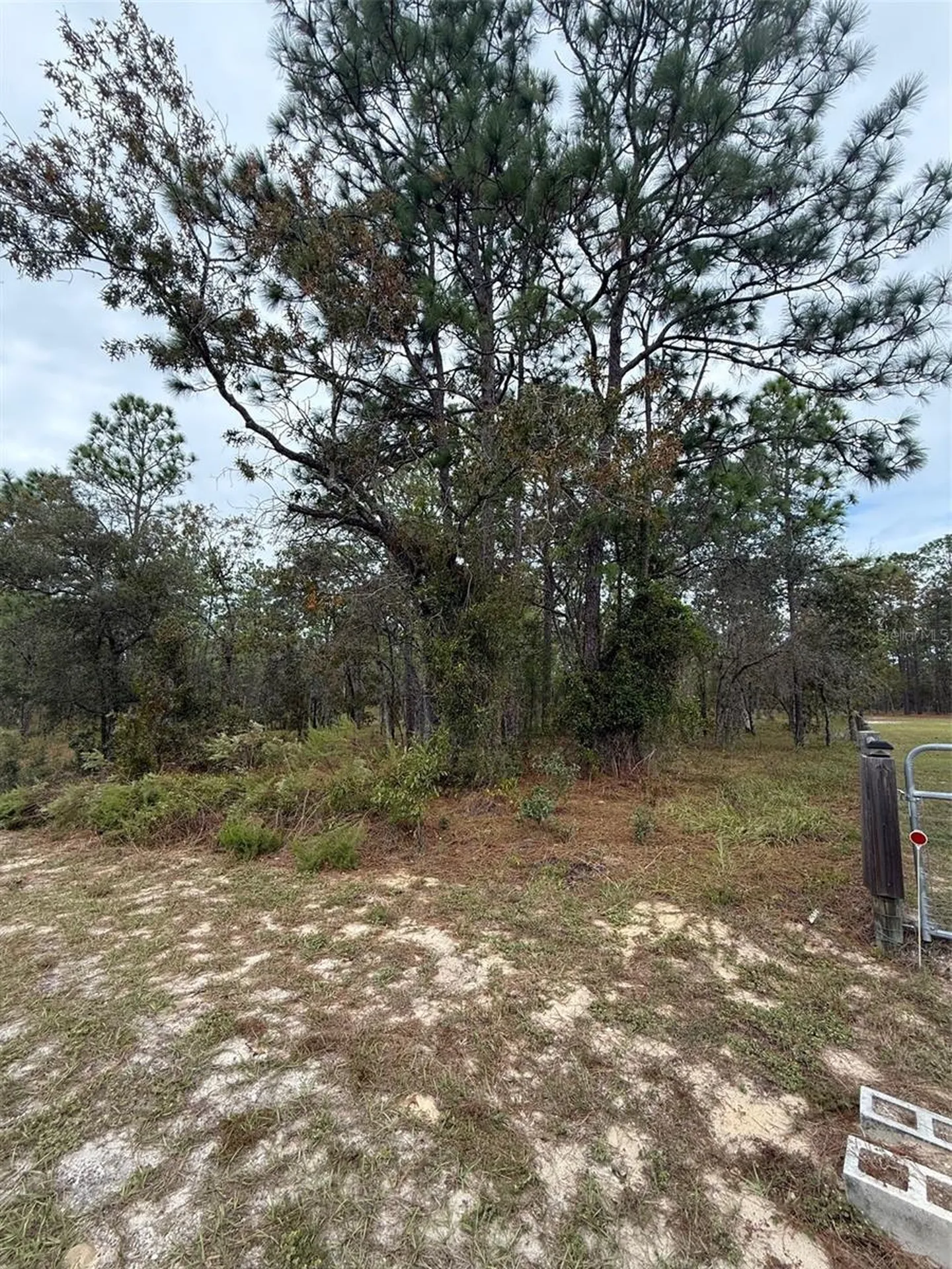 NW Amberjack Avenue Dunnellon FL 34431
