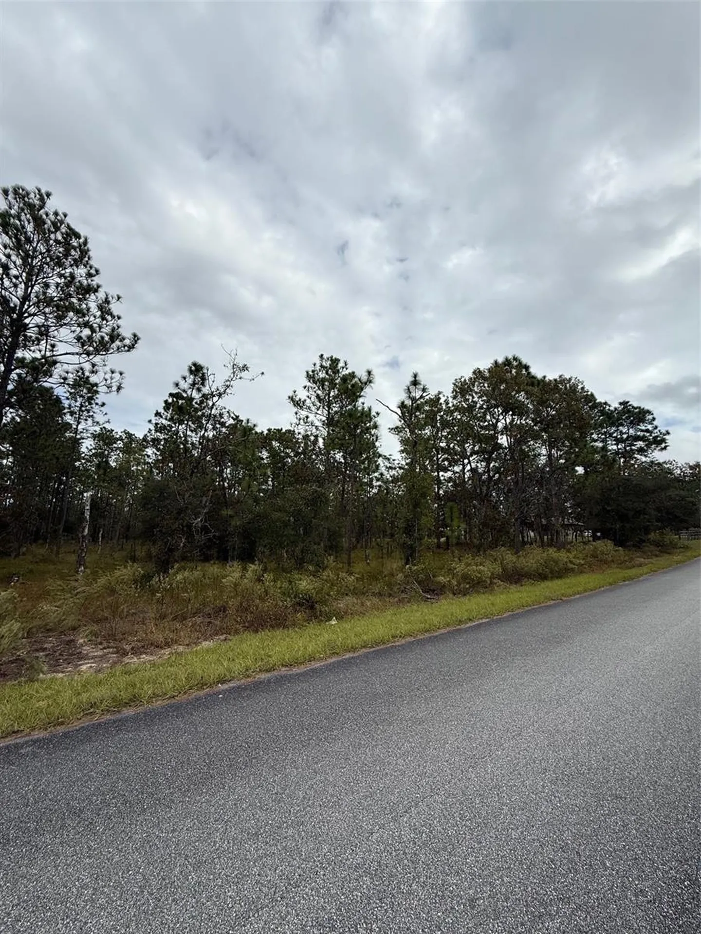 NW Amberjack Avenue Dunnellon FL 34431