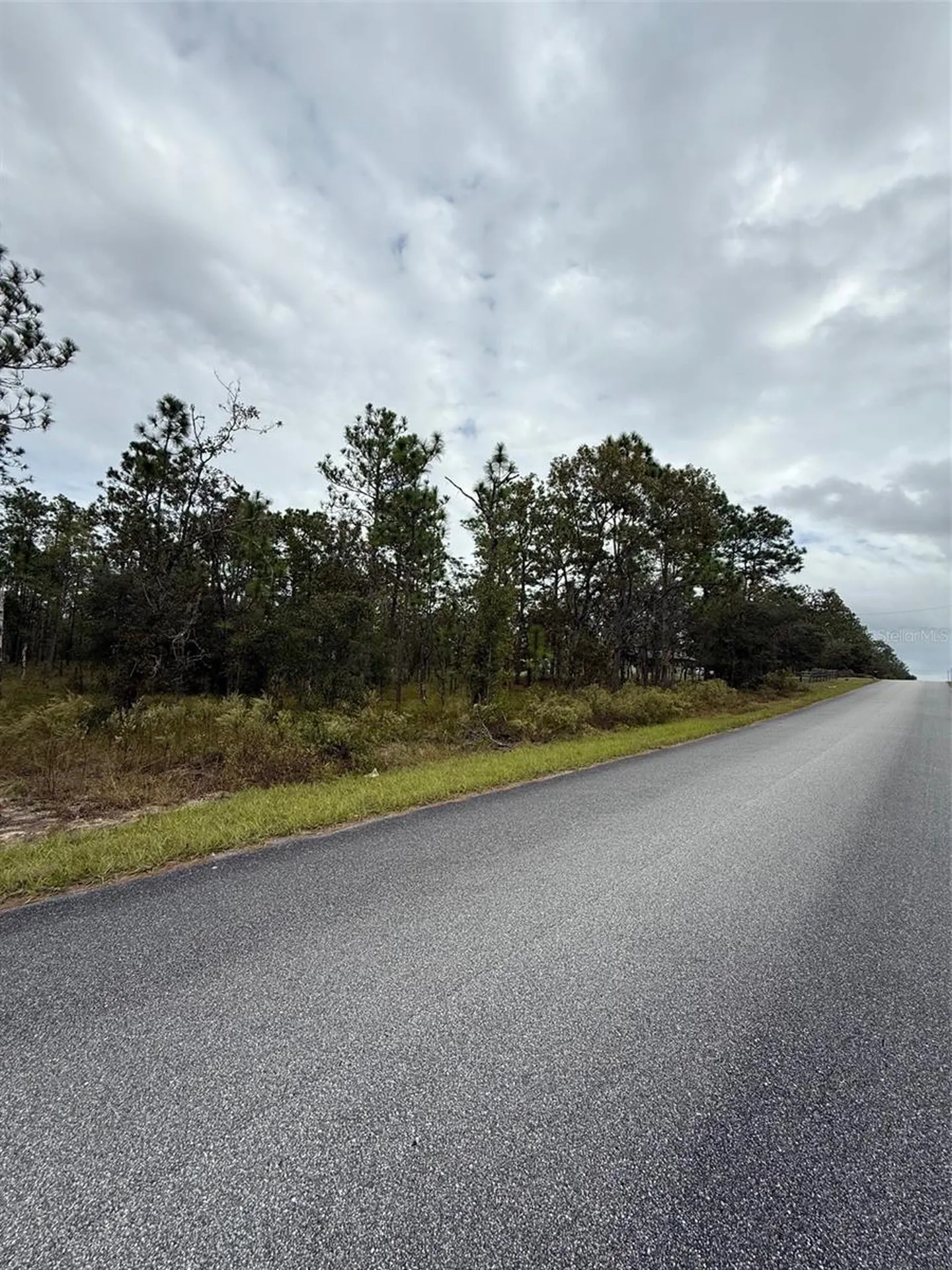 NW Amberjack Avenue Dunnellon FL 34431