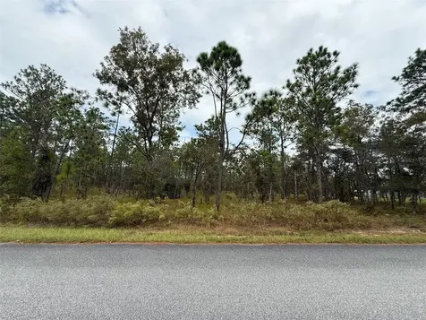 NW Amberjack Avenue Dunnellon FL 34431
