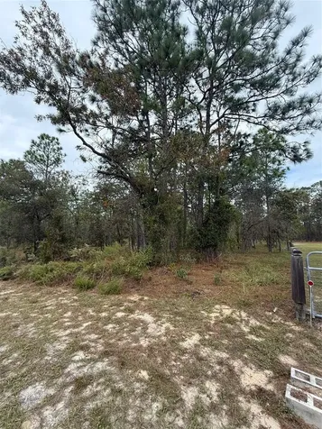 NW Amberjack Avenue Dunnellon FL 34431