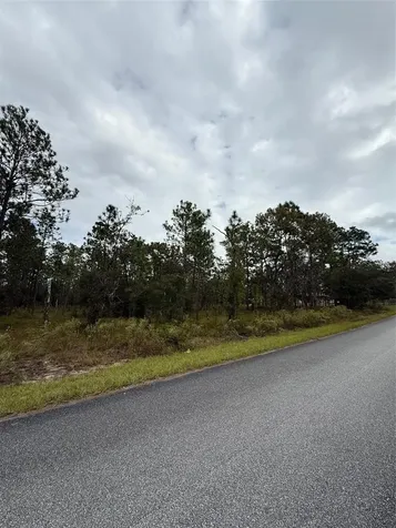 NW Amberjack Avenue Dunnellon FL 34431