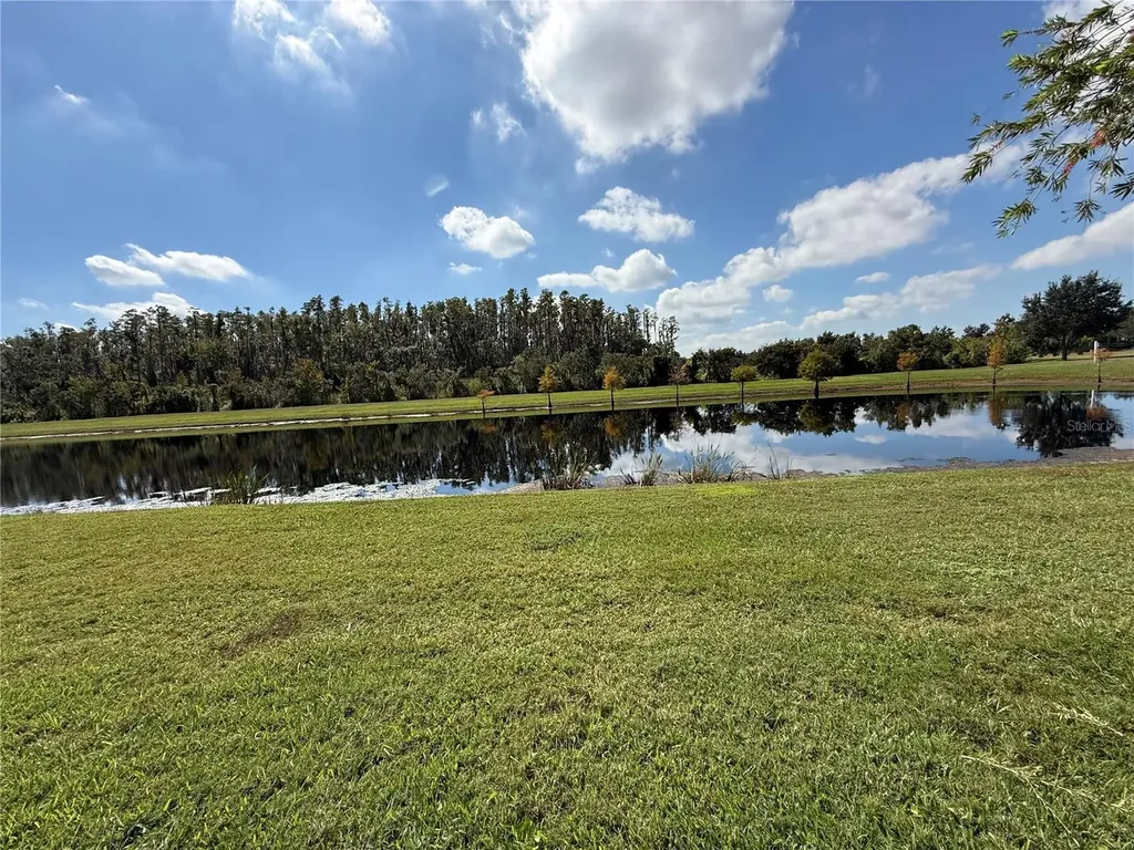 15858 Aurora Lake Circle Wimauma FL 33598