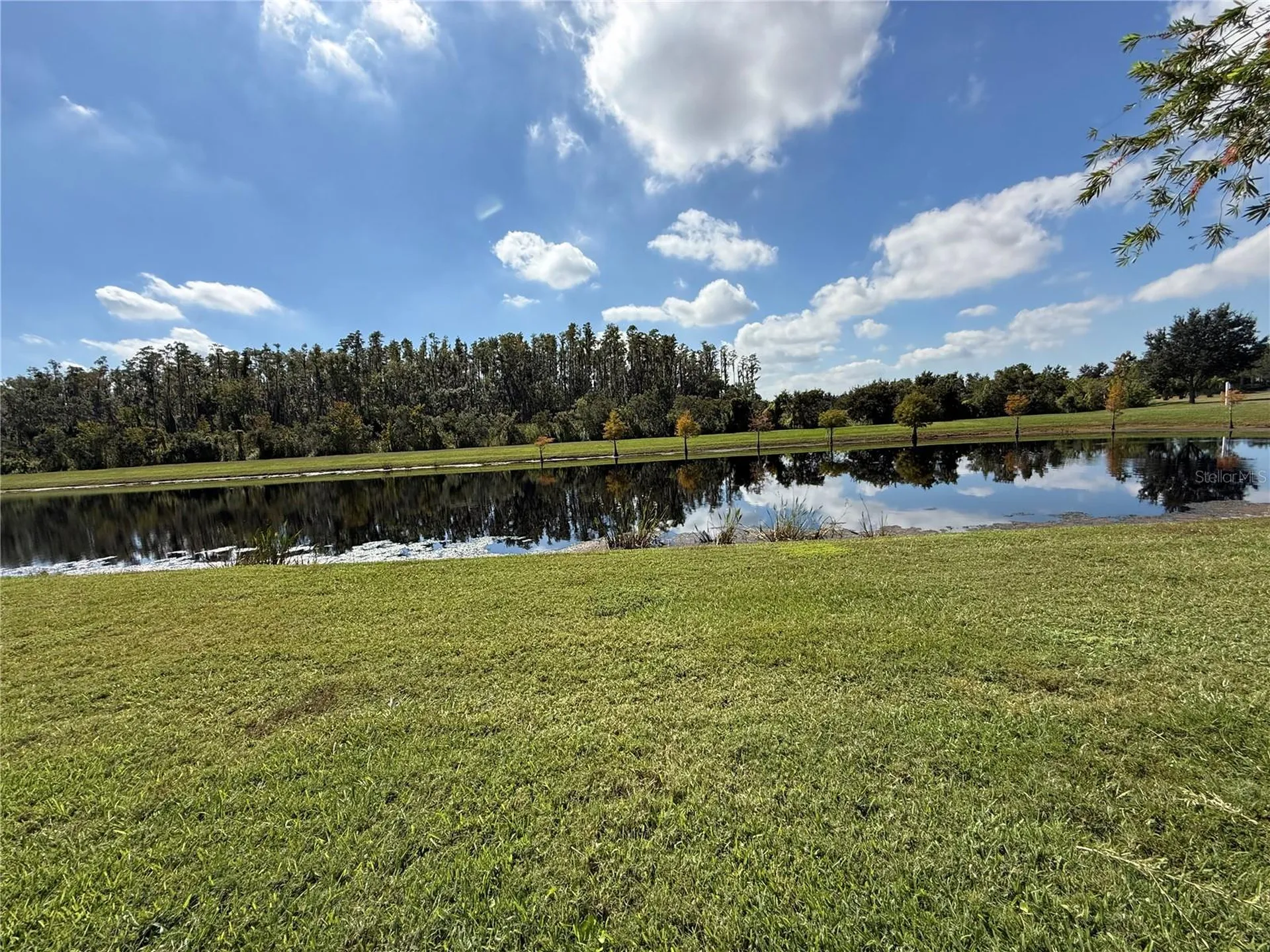 15858 Aurora Lake Circle Wimauma FL 33598