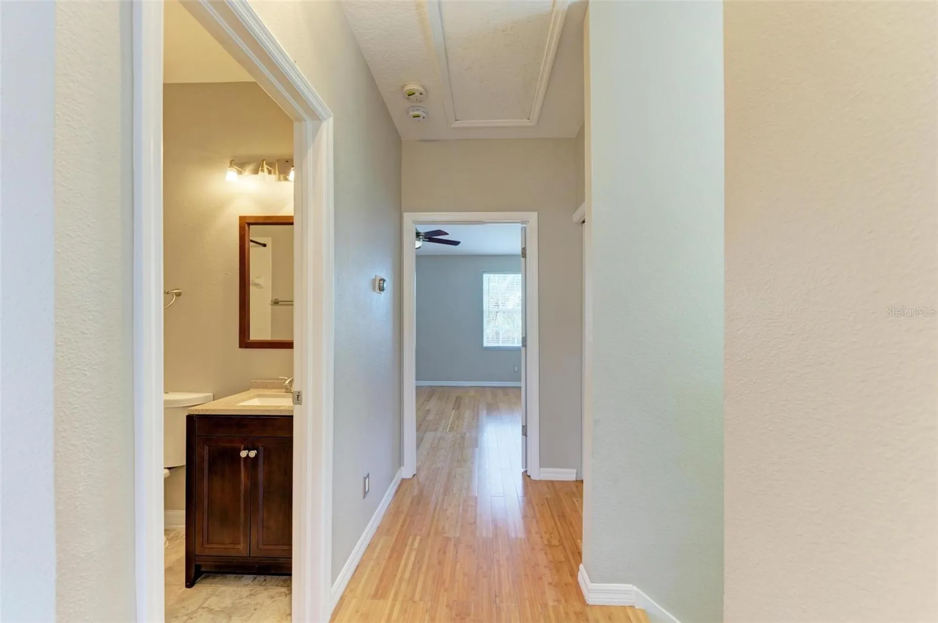 2926 Bayshore Pointe Drive Tampa FL 33611