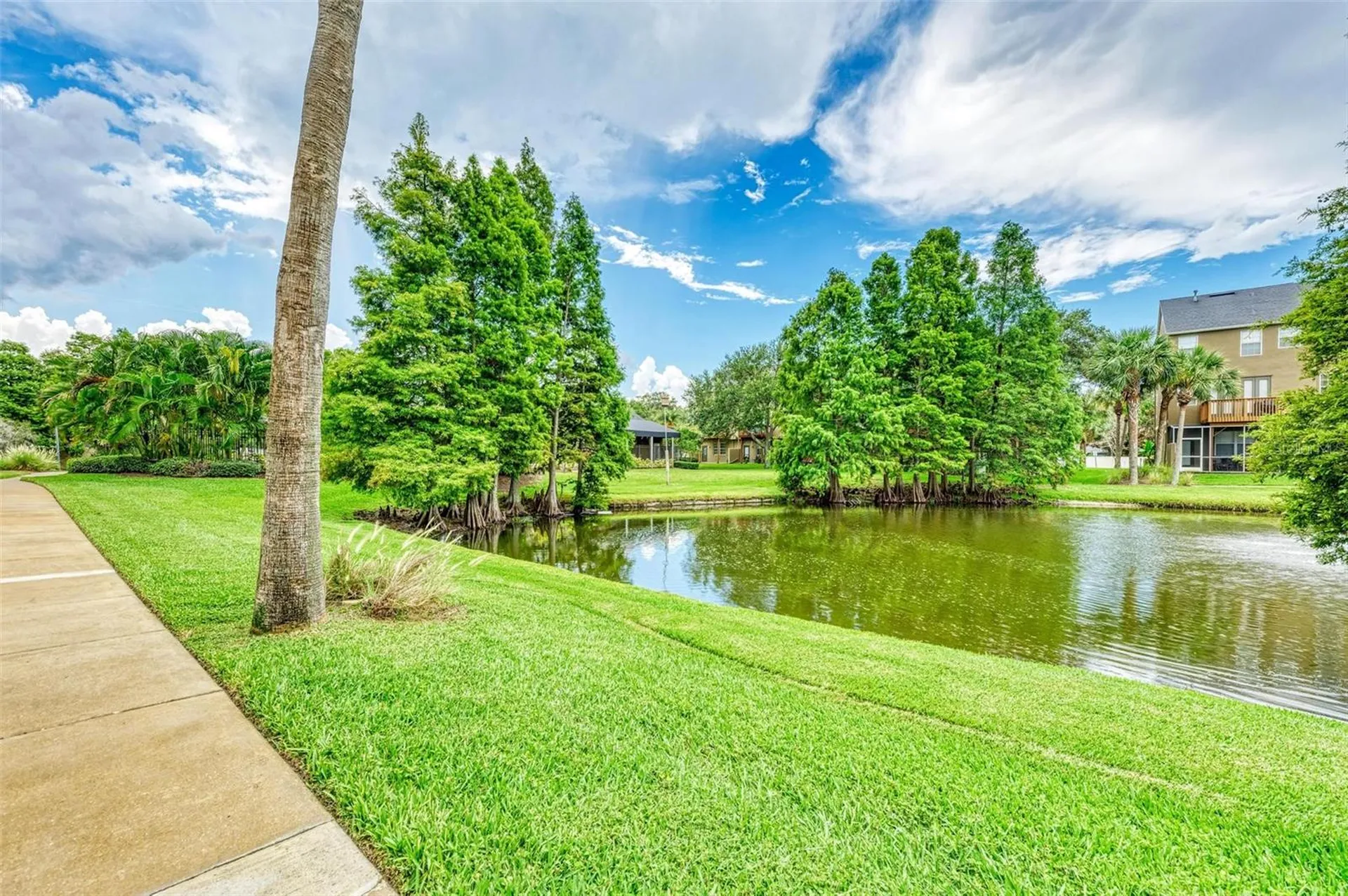 2926 Bayshore Pointe Drive Tampa FL 33611