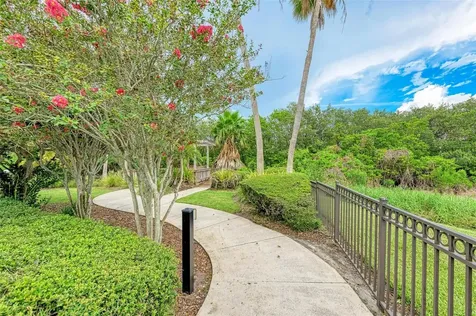 2926 Bayshore Pointe Drive Tampa FL 33611