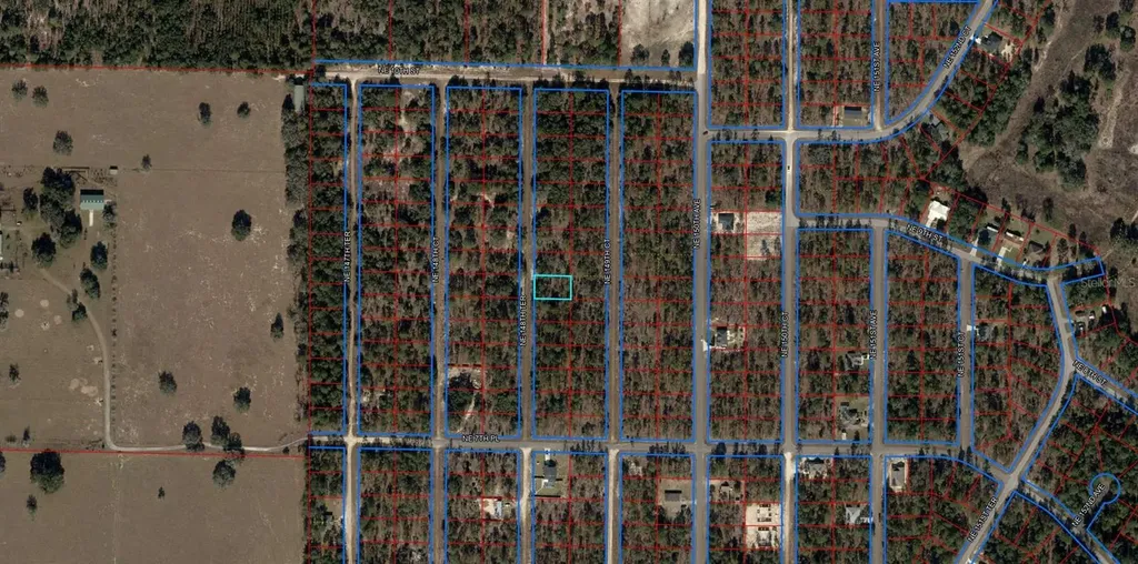 Tbd NE 148 Terrace Williston FL 32696