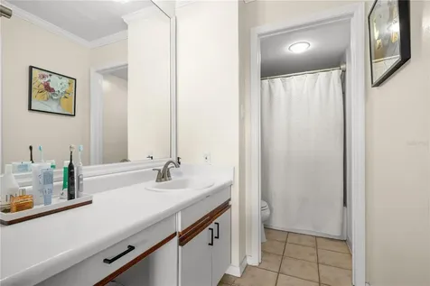 3211 W Swann Avenue Tampa FL 33609
