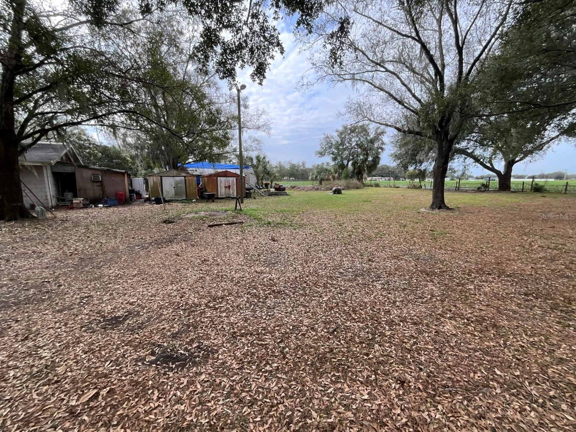 1329 Wilkinson Drive Plant City FL 33566