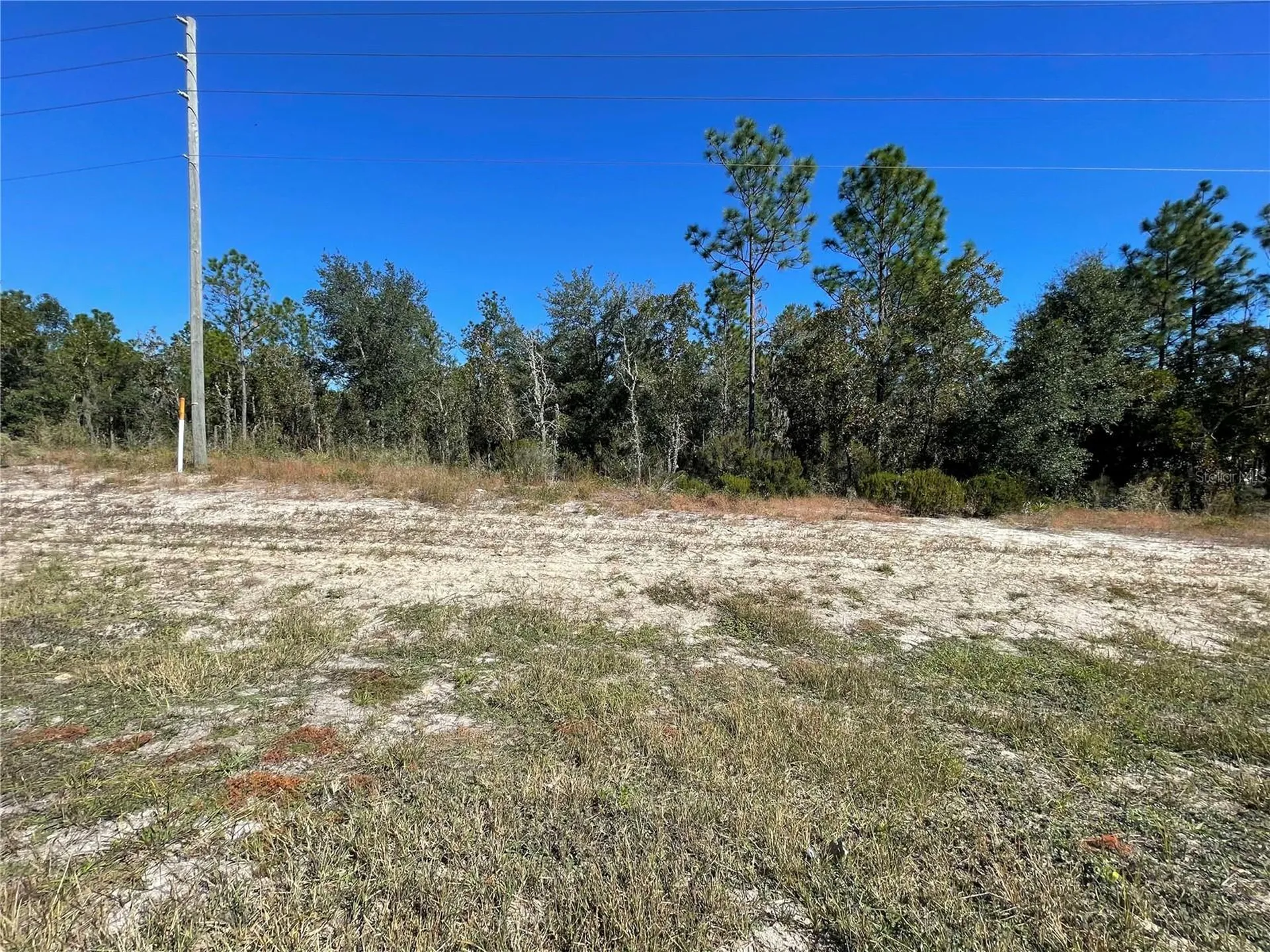 Tbd NE Highway 27 Alt Bronson FL 32621