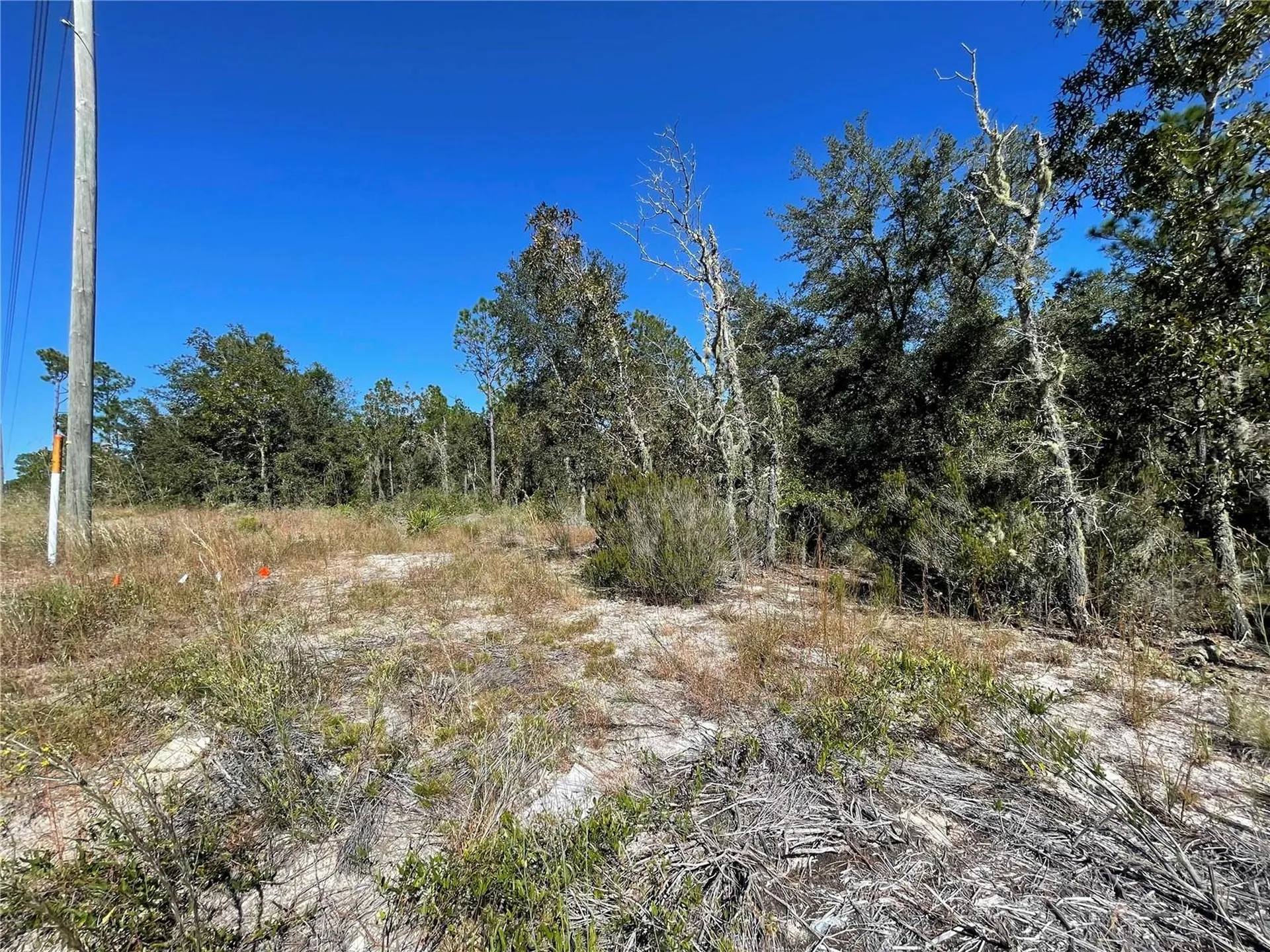 Tbd NE Highway 27 Alt Bronson FL 32621