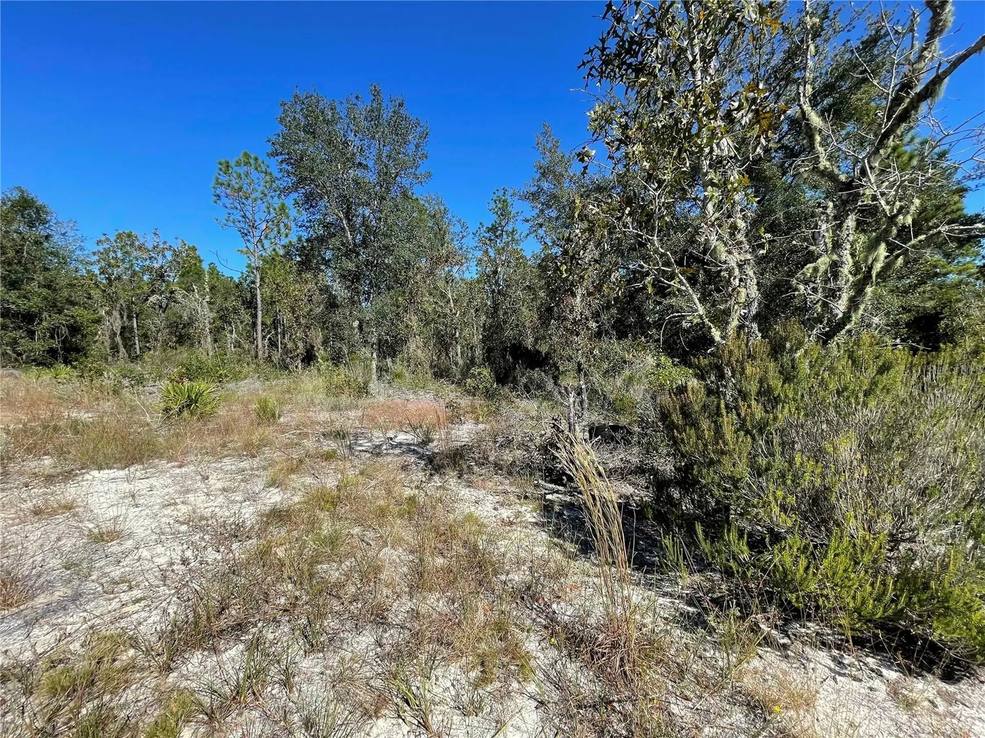 Tbd NE Highway 27 Alt Bronson FL 32621
