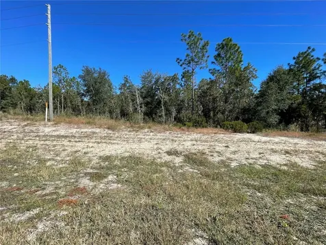 Tbd NE Highway 27 Alt Bronson FL 32621