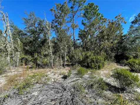 Tbd NE Highway 27 Alt Bronson FL 32621