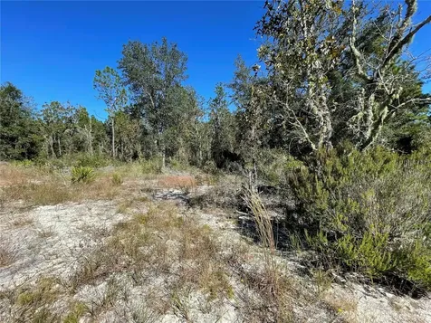 Tbd NE Highway 27 Alt Bronson FL 32621