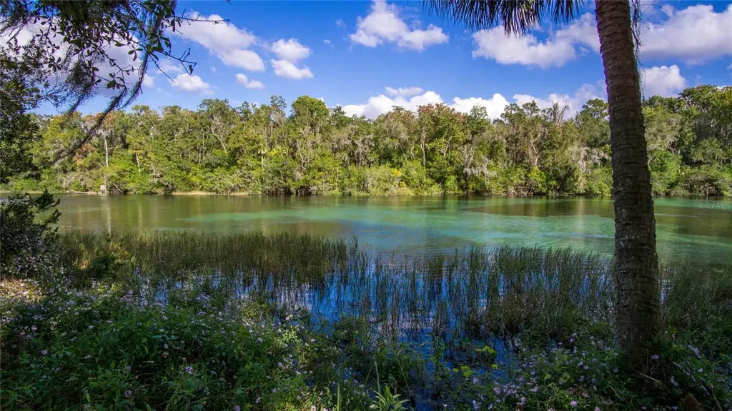 8130 SW 215th Terrace Dunnellon FL 34431