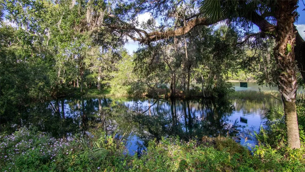 8130 SW 215th Terrace Dunnellon FL 34431