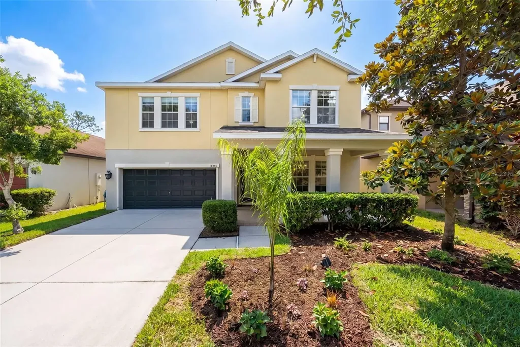 14256 Blue Dasher Drive Riverview FL 33569
