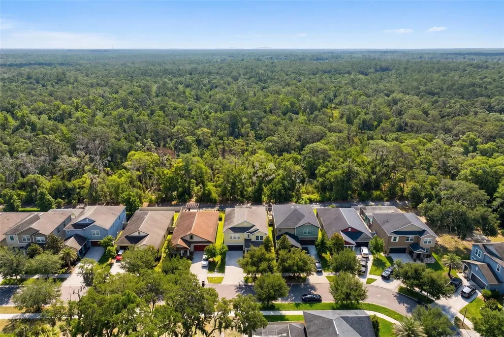14256 Blue Dasher Drive Riverview FL 33569