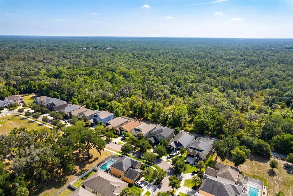 14256 Blue Dasher Drive Riverview FL 33569
