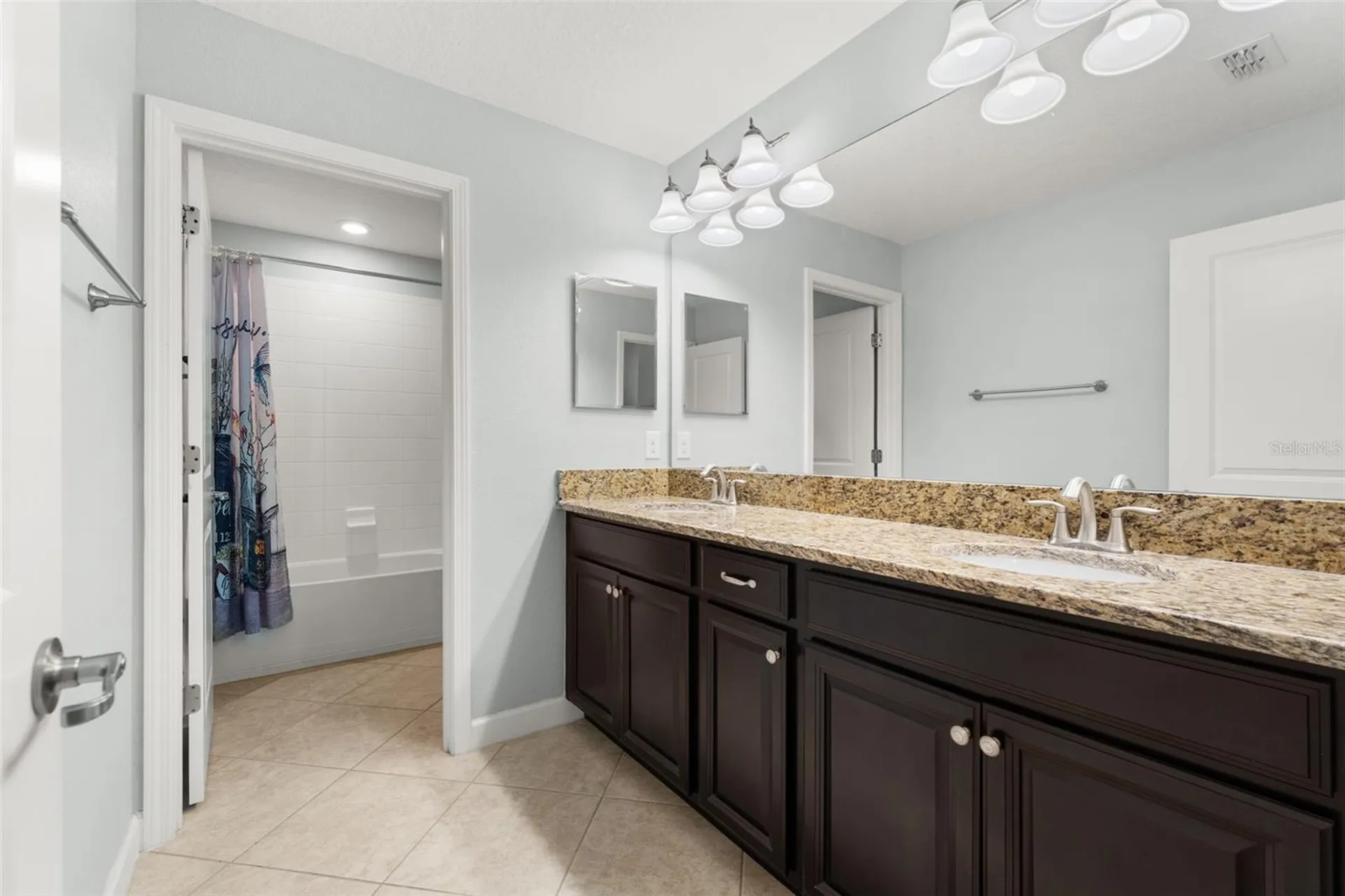 14256 Blue Dasher Drive Riverview FL 33569
