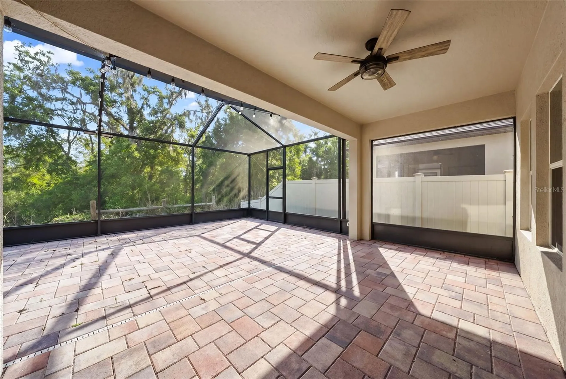14256 Blue Dasher Drive Riverview FL 33569