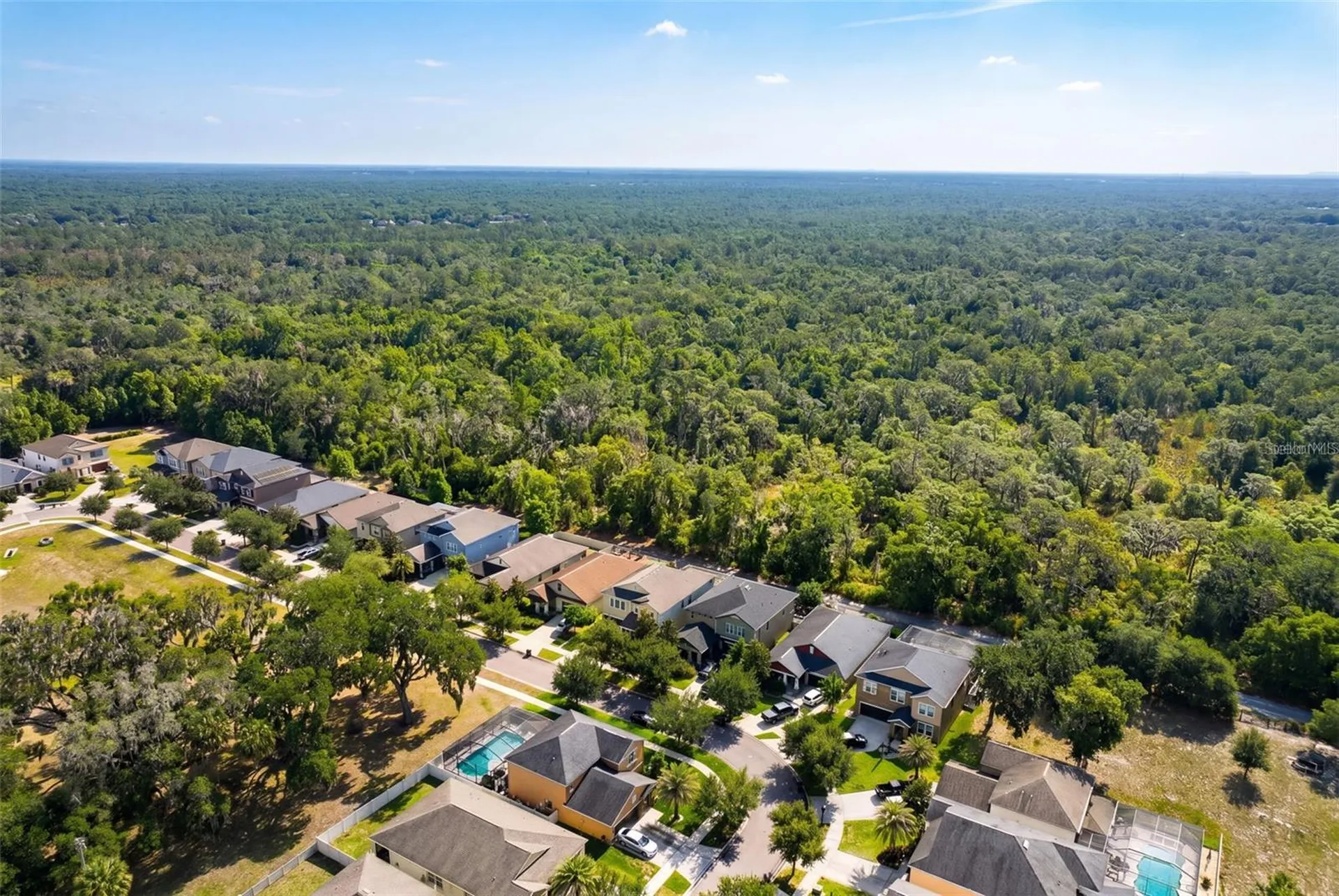 14256 Blue Dasher Drive Riverview FL 33569