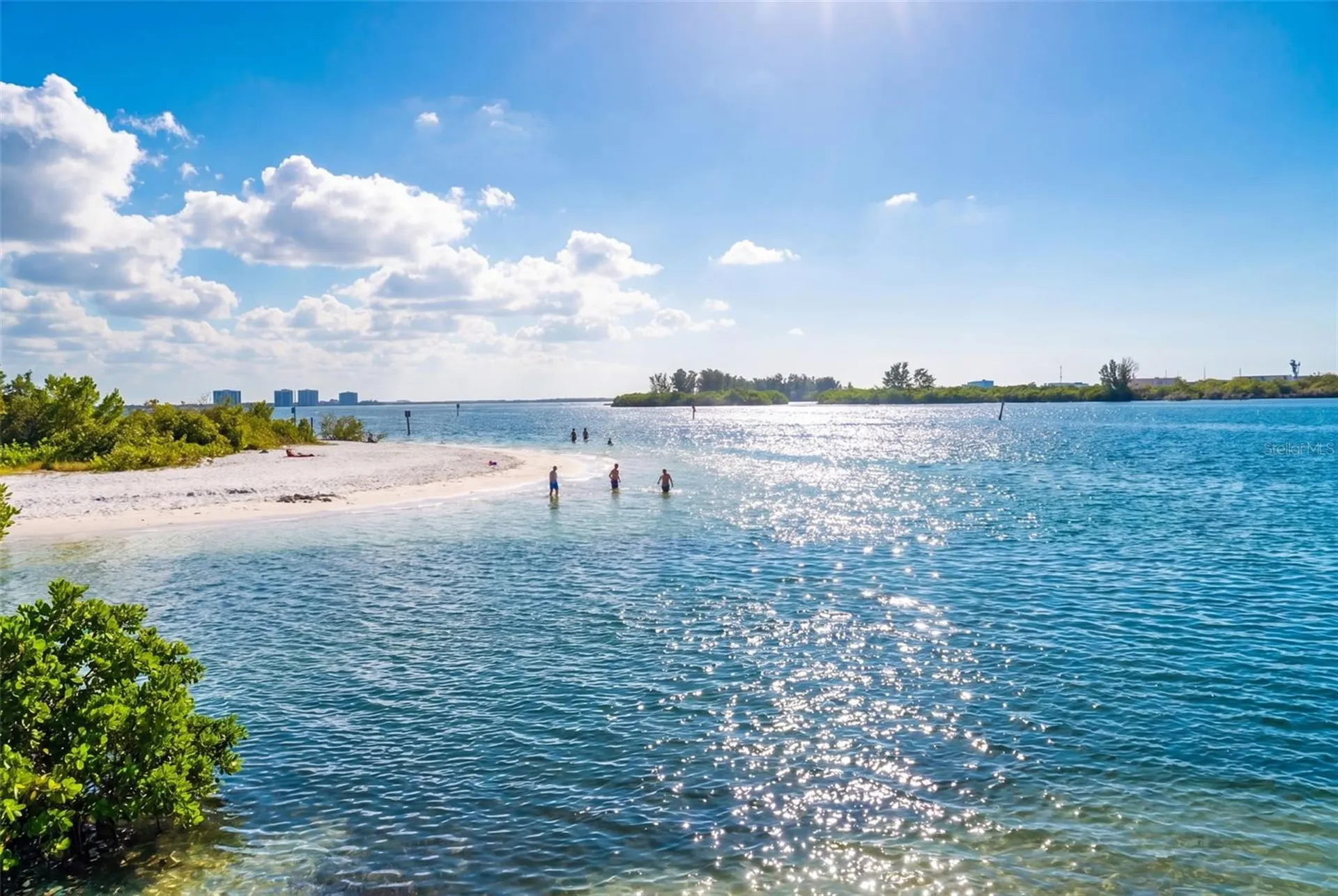 14256 Blue Dasher Drive Riverview FL 33569