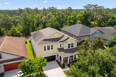 14256 Blue Dasher Drive Riverview FL 33569
